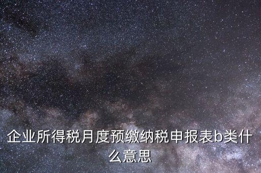 企業所得稅月度預繳納稅申報表b類什么意思