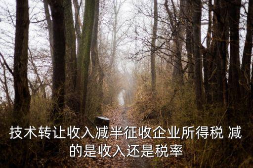 技術轉讓收入減半征收企業所得稅 減的是收入還是稅率