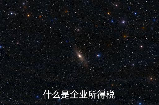 什么是企業所得稅