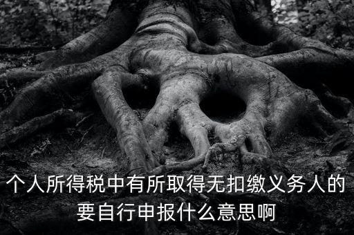什么叫自行申報，個人所得稅中有所取得無扣繳義務人的要自行申報什么意思啊