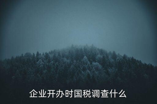 企業開辦時國稅調查什么