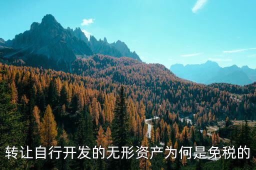 轉讓自行開發的無形資產為何是免稅的