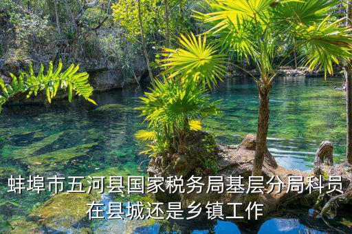 懷遠稅務局在什么地方，蚌埠市五河縣國家稅務局基層分局科員在縣城還是鄉鎮工作