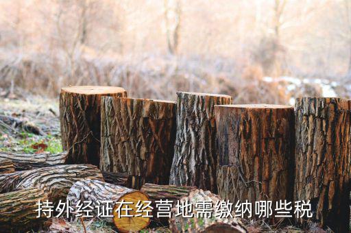 江蘇企業開外經證要交什么稅，持外經證在經營地需繳納哪些稅