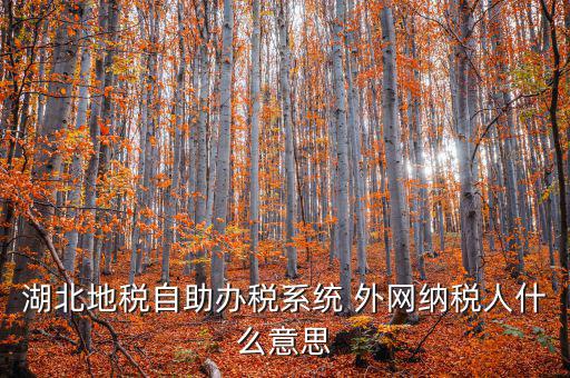 湖北地稅自助辦稅系統 外網納稅人什么意思