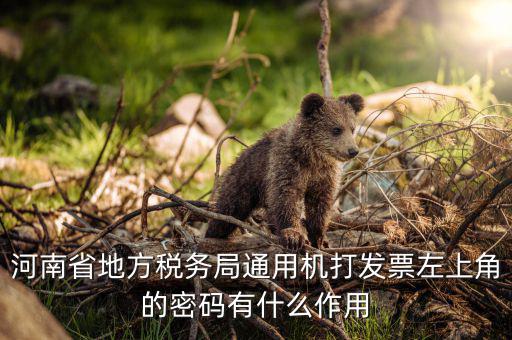 河南省地方稅務局通用機打發票左上角的密碼有什么作用