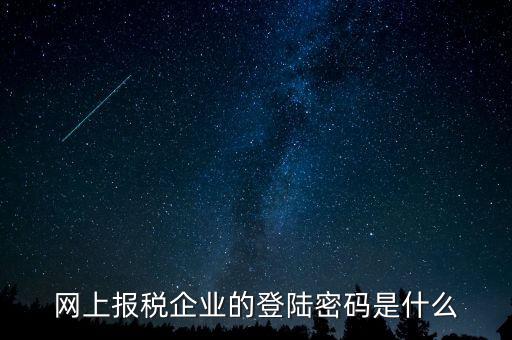 網上報稅企業的登陸密碼是什么