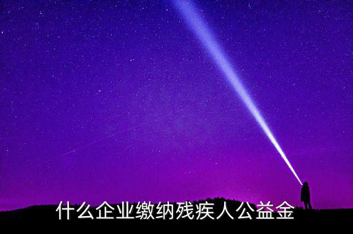 什么企業繳納殘疾人公益金