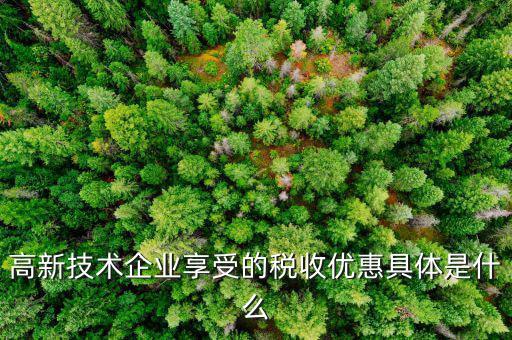 什么是享受稅收優惠權，什么是稅收優惠政策