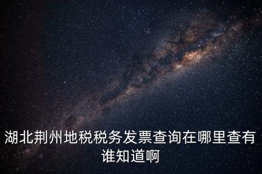 湖北荊州地稅稅務發票查詢在哪里查有誰知道啊