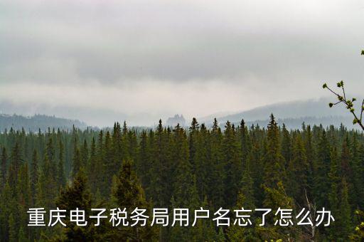 重慶電子稅務局的網(wǎng)址是什么意思，重慶市國稅電子申報委托繳稅的網(wǎng)址