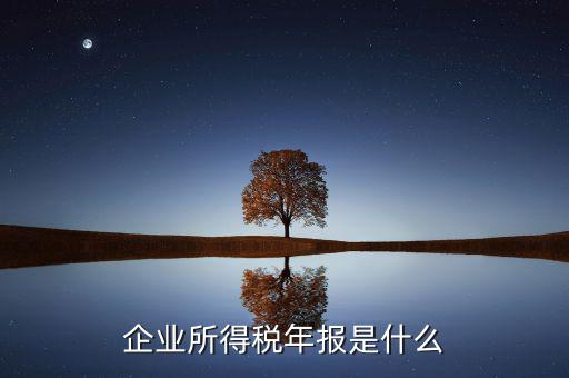 企業(yè)所得稅年度申報有什么用，企業(yè)所得稅按季申報和年度申報有什么區(qū)別
