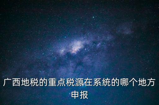 廣西地稅的重點稅源在系統的哪個地方申報