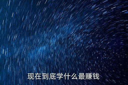 現在到底學什么最賺錢