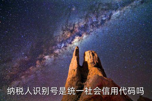 納稅人識別號是統一社會信用代碼嗎