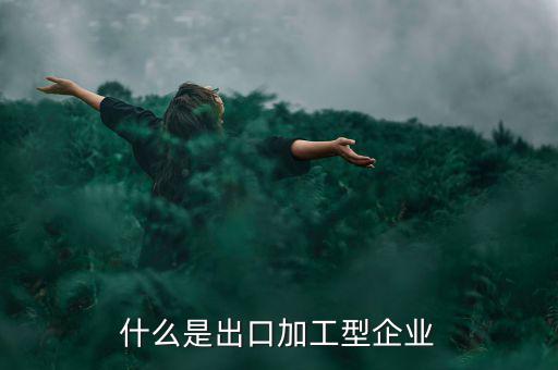什么是出口加工型企業