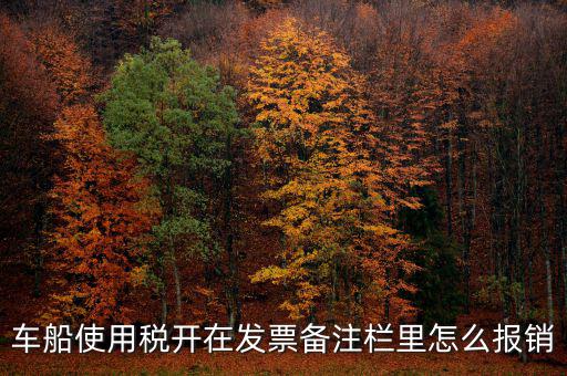 車船使用稅為什么在發票備注欄，保險公司代收的車船稅稅款是填在備注欄里的么