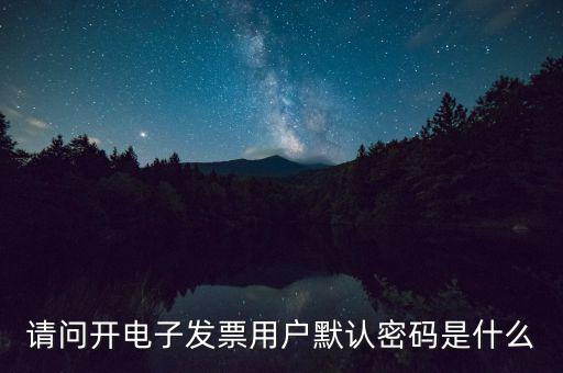 請問開電子發票用戶默認密碼是什么