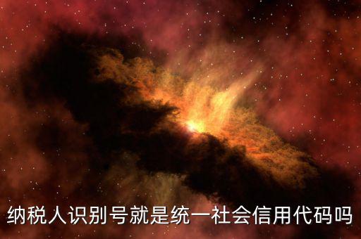 納稅人識別號就是統一社會信用代碼嗎