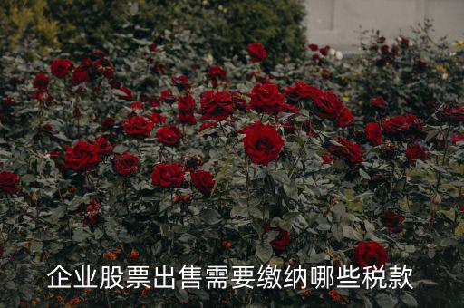 企業股票出售需要繳納哪些稅款