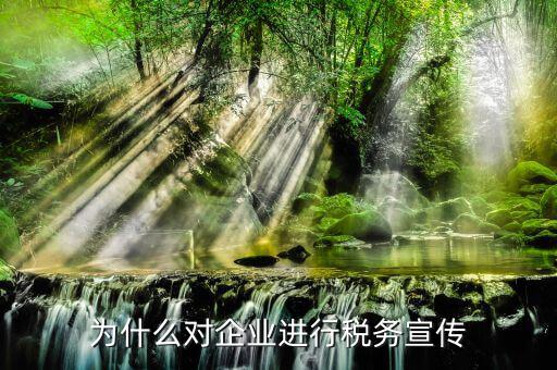 為什么對企業進行稅務宣傳