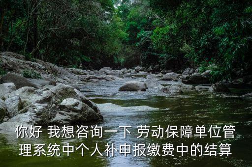你好 我想咨詢一下 勞動保障單位管理系統中個人補申報繳費中的結算