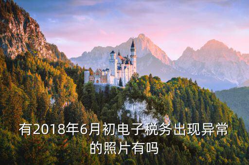 有2018年6月初電子稅務出現異常的照片有嗎