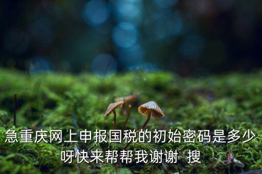 急重慶網上申報國稅的初始密碼是多少呀快來幫幫我謝謝  搜