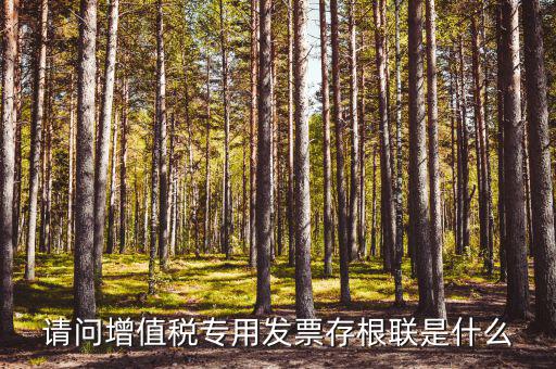 發票存根聯是什么，發票存根聯是按發票購領本上領購的本數裝訂還是25張裝訂一冊