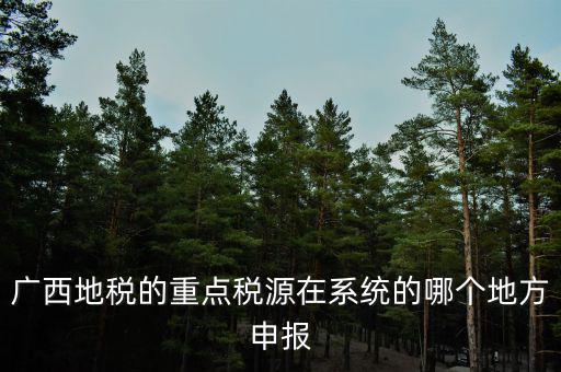 廣西地稅網是什么，進入廣西地稅網后為什么網上辦稅大廳會進不去