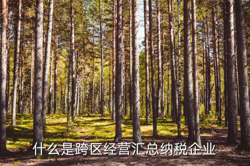 什么是跨區經營匯總納稅企業
