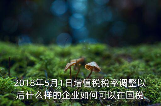 2018年5月1日增值稅稅率調整以后什么樣的企業如何可以在國稅
