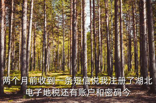 地稅什么時候會給電子稅務密碼，報地稅的時候登陸密碼每天有幾次輸入機會