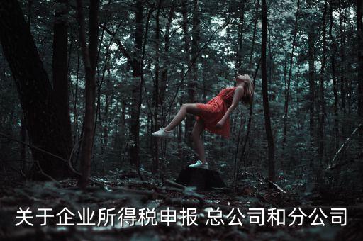 關于企業所得稅申報 總公司和分公司