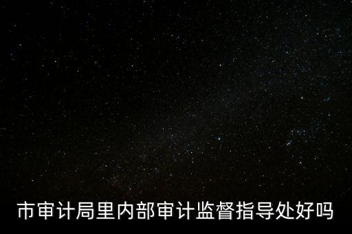 市審計局里內部審計監督指導處好嗎