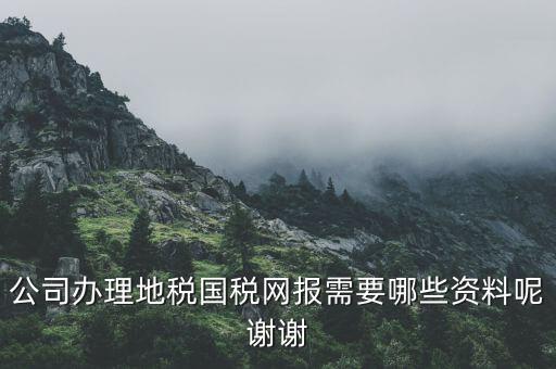 公司辦理地稅國稅網報需要哪些資料呢謝謝