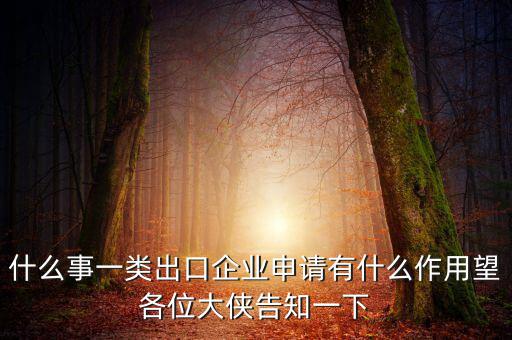 什么事一類出口企業申請有什么作用望各位大俠告知一下