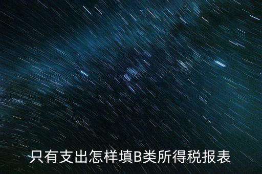 個人生產經營所得B表稅金填什么，只有支出怎樣填B類所得稅報表