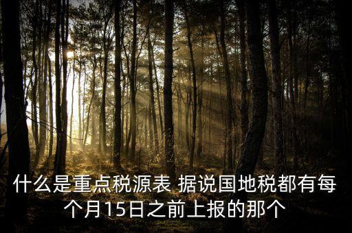 什么是重點(diǎn)稅源表 據(jù)說國地稅都有每個月15日之前上報的那個