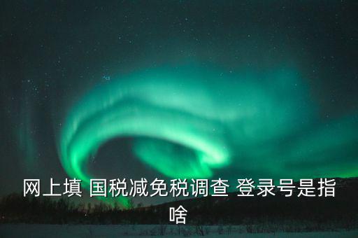 稅收調查網上是什么，網上填 國稅減免稅調查 登錄號是指啥