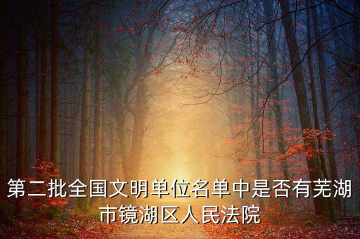 第二批全國文明單位名單中是否有蕪湖市鏡湖區人民法院