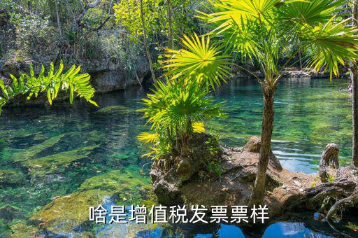 啥是增值稅發票票樣