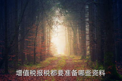 增值稅報稅都要準(zhǔn)備哪些資料