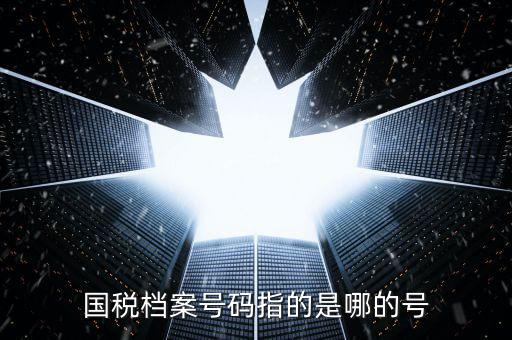 國稅號碼是什么，什么是國稅檔案號