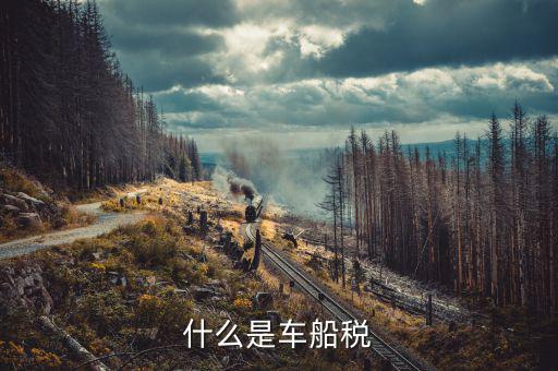 繳納車船稅是什么，什么是車船稅