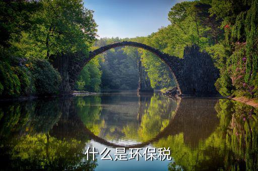 環境保護稅應遵循什么原則，環境保護稅怎么算