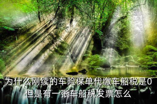 為什么剛續的車險保單代繳車船稅是0但是有一張車船稅發票怎么