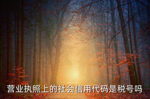 營業執照上的社會信用代碼是稅號嗎
