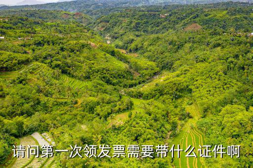 請問第一次領發票需要帶什么證件啊
