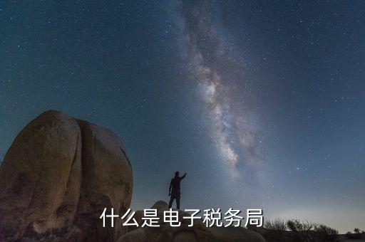 稅務(wù)網(wǎng)廳是什么意思，登錄國稅網(wǎng)上辦稅服務(wù)廳的用戶名和密碼是什么